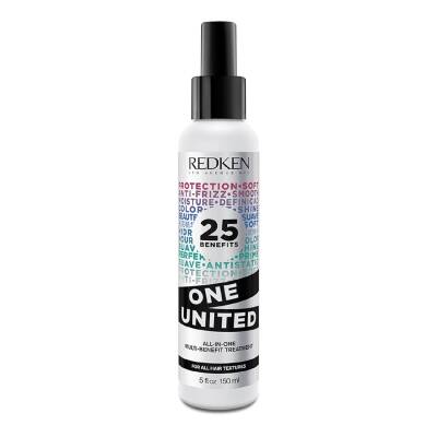Redken One United Multi-Benefit Treatment Duo