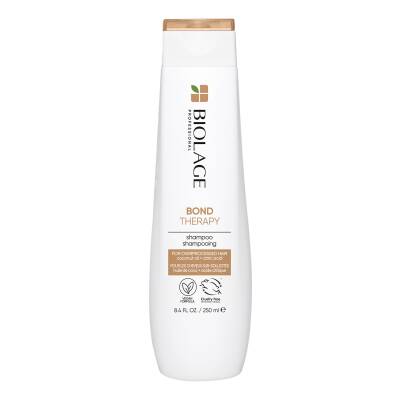 Biolage Colorlast Shampoo 250 ml